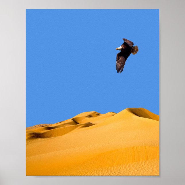 Affiche Aigle à bald (Devant)