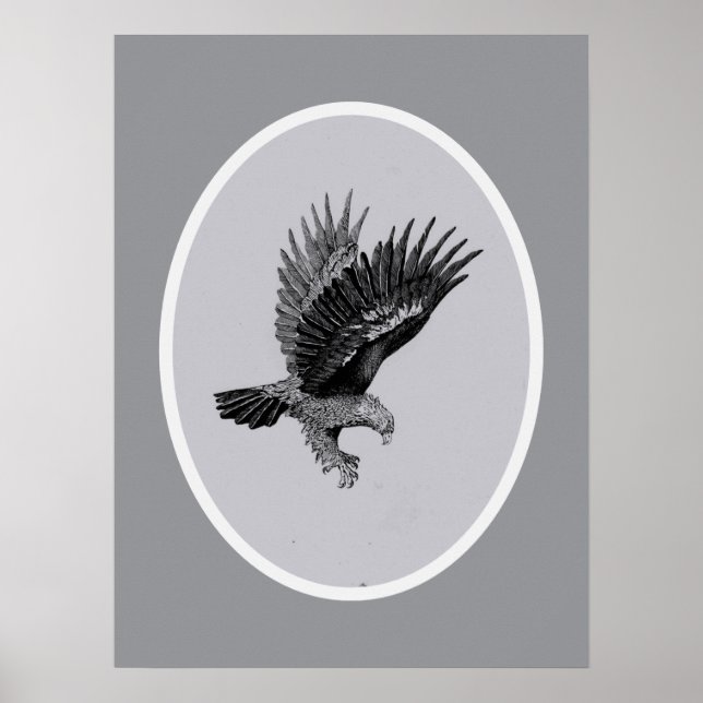 Affiche Aigle à la lumière    (Devant)