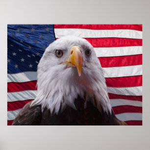 Affiche aigle américain et drapeau