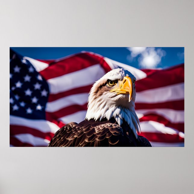 Affiche Aigle américain x Drapeau (Devant)