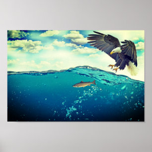 Affiche Aigle attrapant un poisson