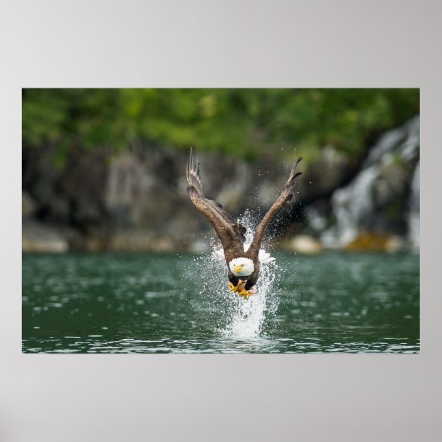 Affiche Aigle Bald Le Gros Catch (Devant)
