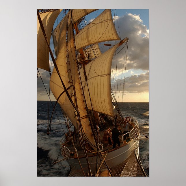 Affiche Aigle de la mer (Devant)