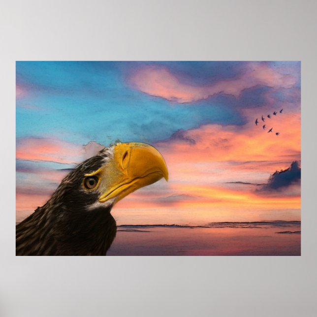 Affiche Aigle de mer (Devant)