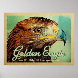 Affiche Aigle d'or - La faune de l'Oiseau du monde