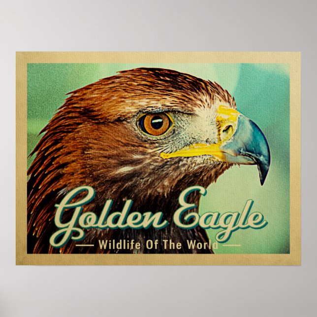 Affiche Aigle d'or - La faune de l'Oiseau du monde (Devant)