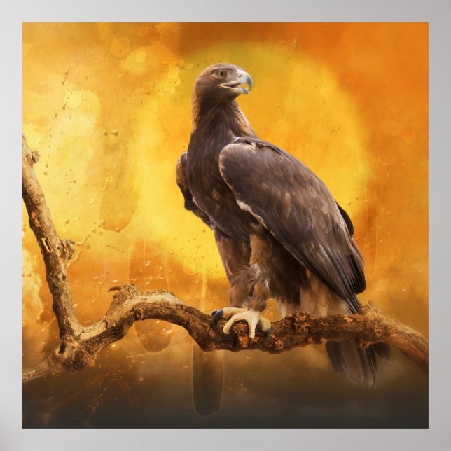 Affiche Aigle d'or L'aigle d'or (Devant)