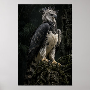 Affiche Aigle Harpie dans l'Art Mural de la Forêt Tropical