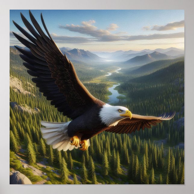 Affiche Aigle Majestic Bald en pleine nature sauvage (Devant)