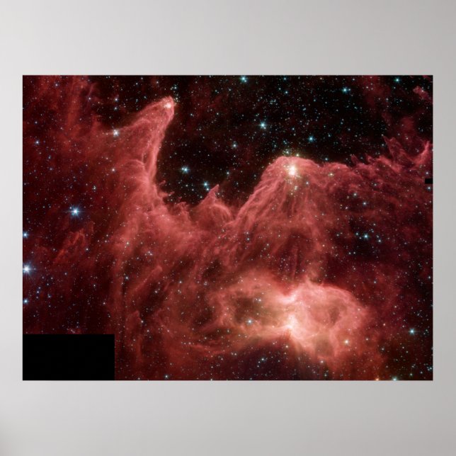 Affiche Aigle Nebula (Devant)