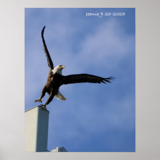 Affiche Aigle qui saute