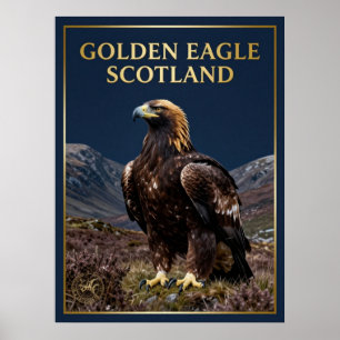 Affiche 🦅 Aigle royal Écosse Oiseau des Highlands