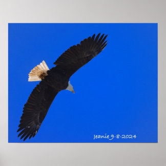 Affiche Aigle sur fond de ciel bleu