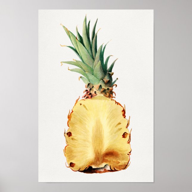 Affiche Aiguille coupée en deux Aquarelle de Fruit Peintur (Devant)