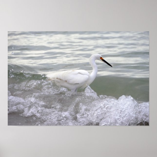 Affiche Aiguille neigeuse dans le Surf (Devant)