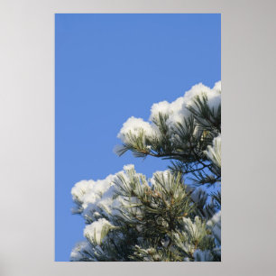 Affiche aiguilles de pin