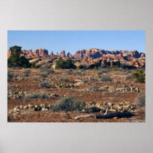 Affiche Aiguilles du sentier Pothole Point à Canyonlands