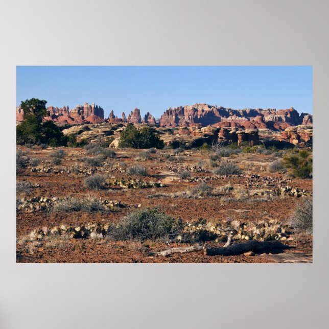 Affiche Aiguilles du sentier Pothole Point à Canyonlands (Devant)