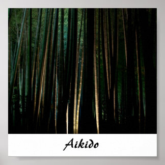 Affiche Aikido Japonais Martial Art