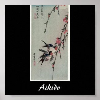 Affiche Aikido Japonais Martial Art