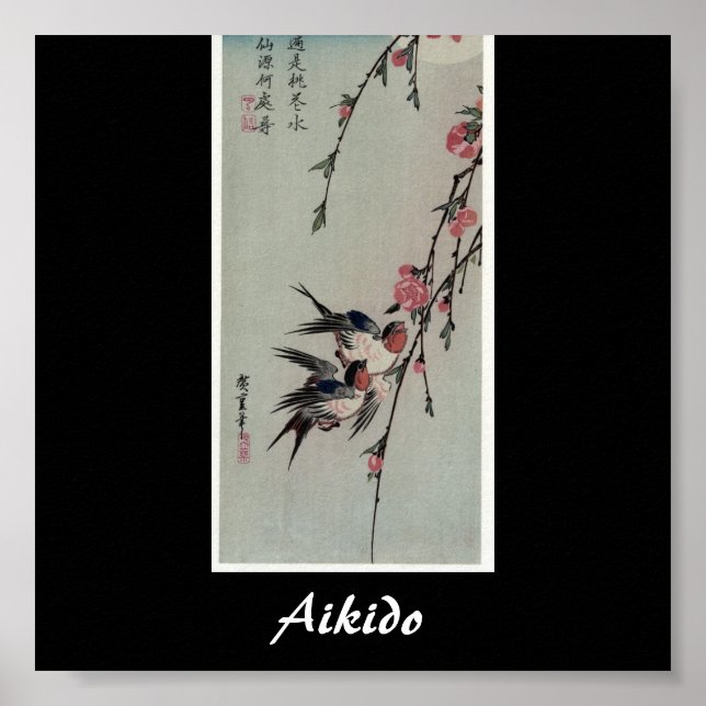 Affiche Aikido Japonais Martial Art (Devant)