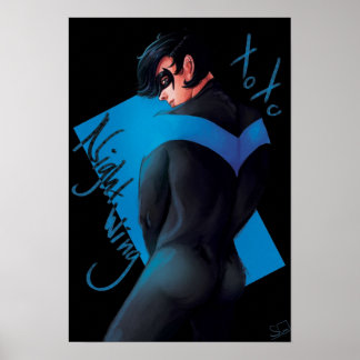 Affiche Aile de nuit