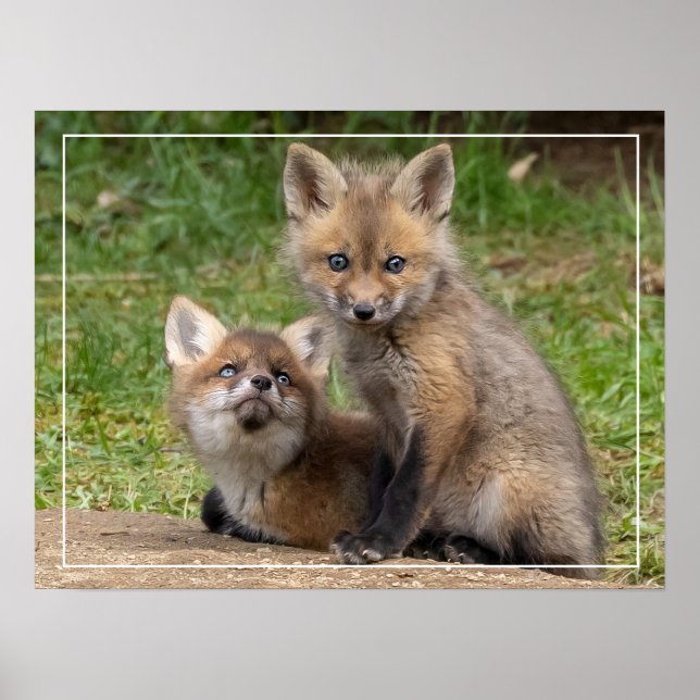 Affiche Aimer les yeux (Devant)