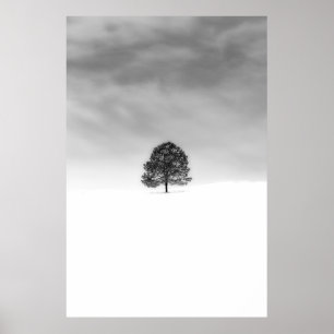 AFFICHE AIMEZ LA SIMPLICITÉ DE LA PHOTOGRAPHIE HIVER C'EST