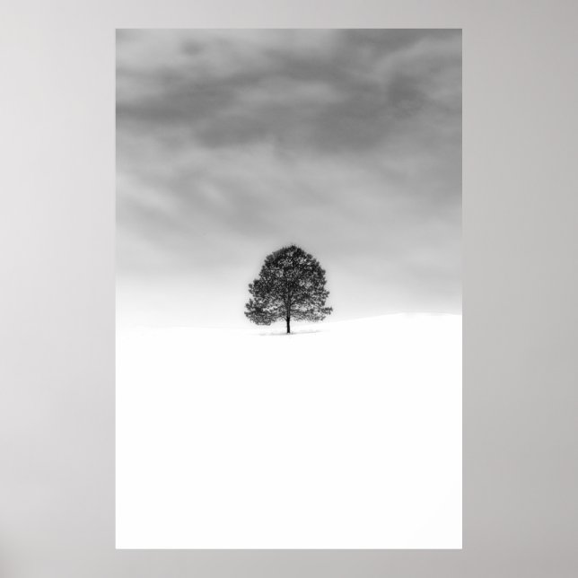 AFFICHE AIMEZ LA SIMPLICITÉ DE LA PHOTOGRAPHIE HIVER C'EST (Devant)