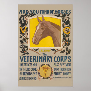 Affiche Aimez-Vous les Chevaux Médecine Vétérinaire de l'A