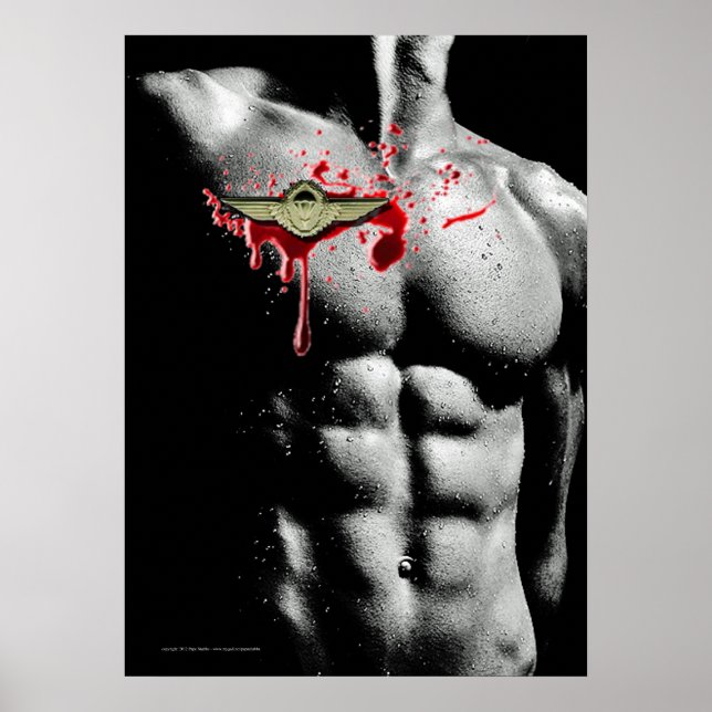 Affiche Airborne: Bloody Wings (Devant)