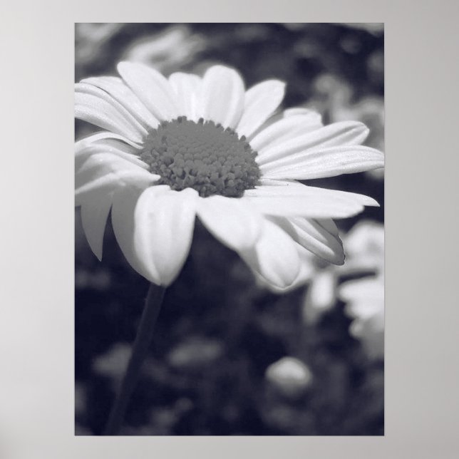 Affiche Aire (Devant)