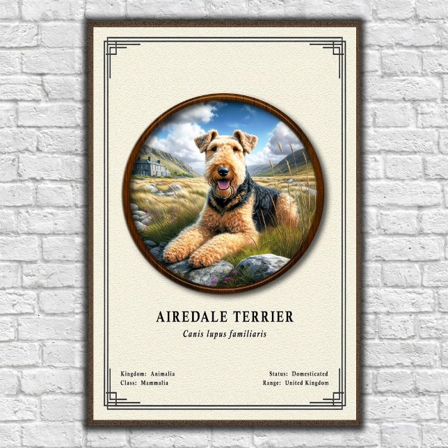 Affiche Airedale Terrier Zoology Series (Créateur téléchargé)