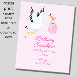 Affiche Ajouter un nom - Détails de naissance Stork Pink B
