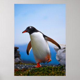 Affiche Ajouter Votre Propre Modèle photo Image Cadeaux Pe