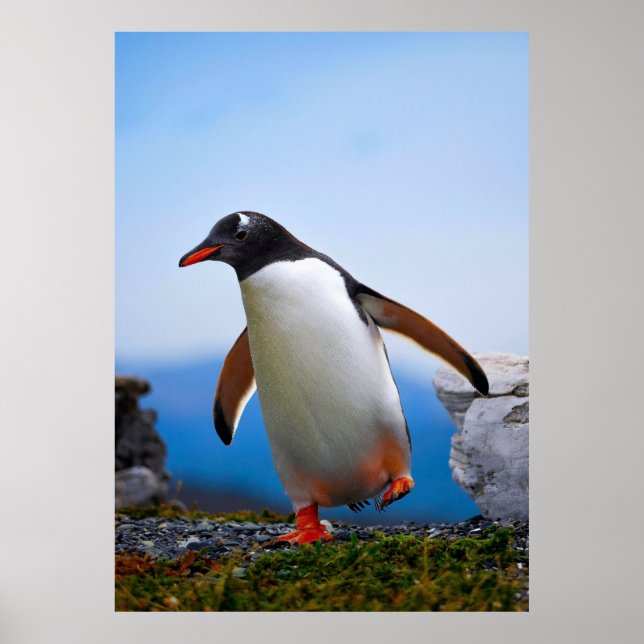 Affiche Ajouter Votre Propre Modèle photo Image Cadeaux Pe (Devant)