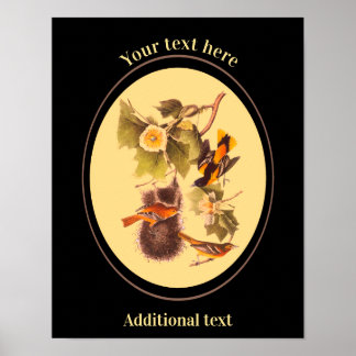 Affiche Ajouter votre propre texte Vintage Audubon Birds O