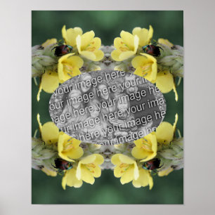 Affiche Ajoutez Votre Bousier Photo Sur Mullein Flower Fra