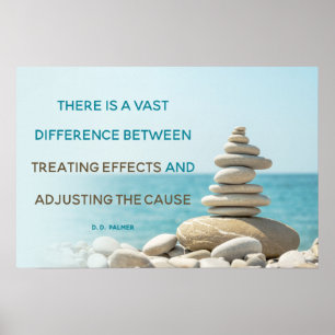 Affiche Ajuster Le Devis De Cause Chiropratique