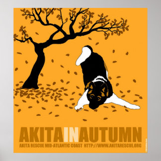 Affiche Akita en automne (24" x 26")