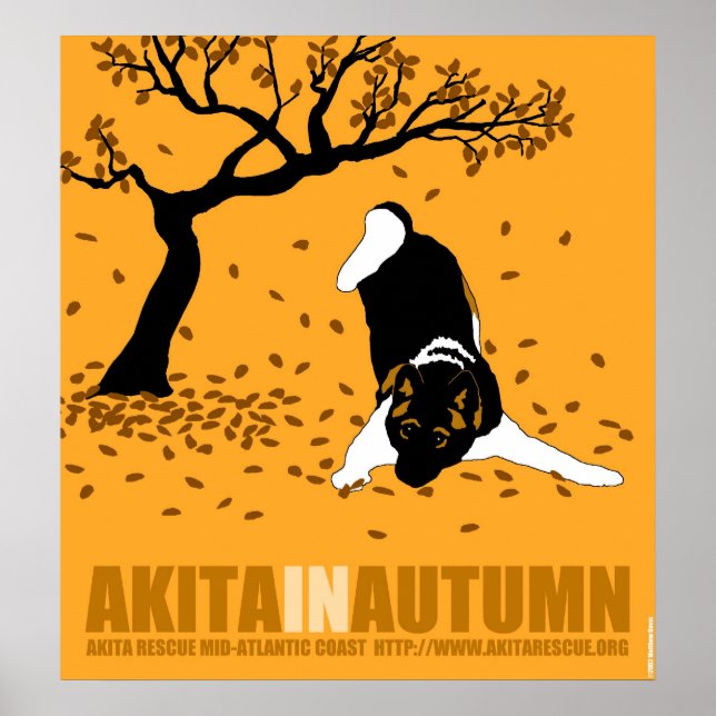 Affiche Akita en automne (24" x 26") (Devant)