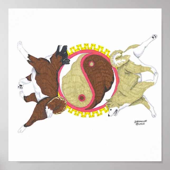 Affiche akita yin et yang 2 (Devant)