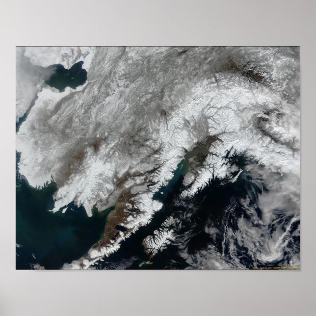 Affiche Alaska (Devant)