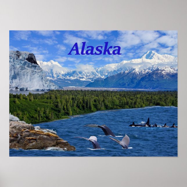Affiche Alaska (Devant)