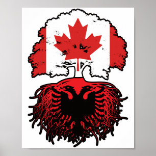 Affiche Albania Albanian Canadian Canada Tree Roots Flag