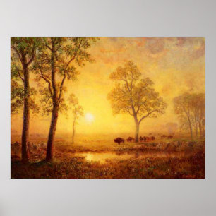 Affiche Albert Bierstadt - Coucher De Soleil Sur La Montag