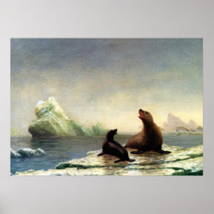 Affiche Albert Bierstadt painting, Seals