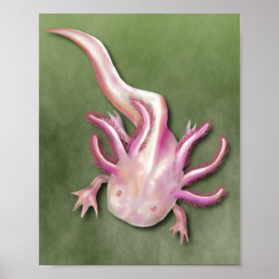 Affiche Albino Axolotl "Poisson de promenade" Art
