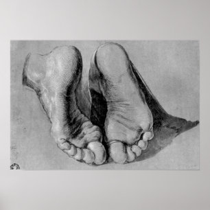 Affiche Albrecht Durer