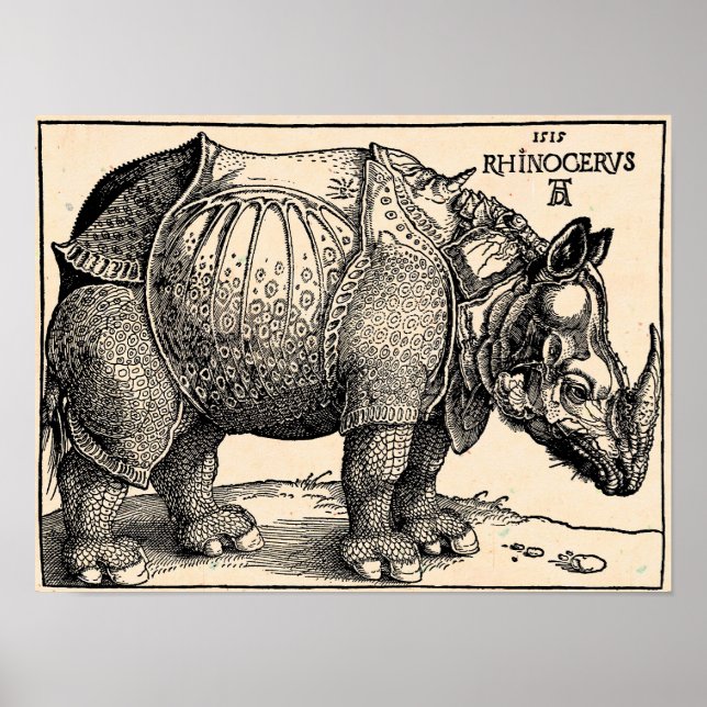 Affiche Albrecht Dürer Rhinoceros (Devant)